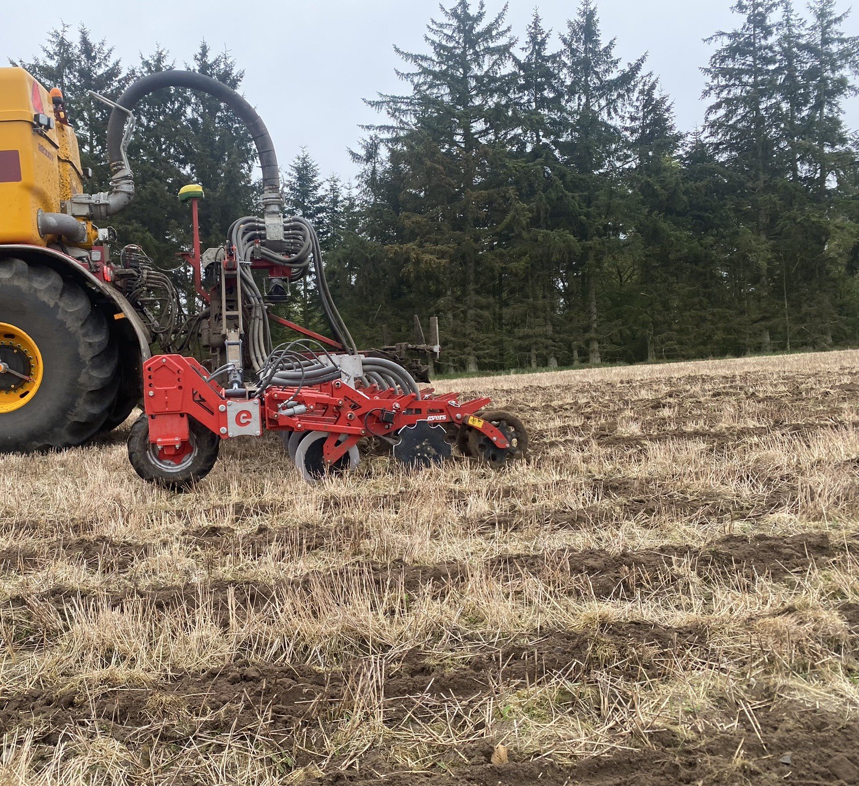 Reiheninjektion auf be-und unbearbeiteten Feldern